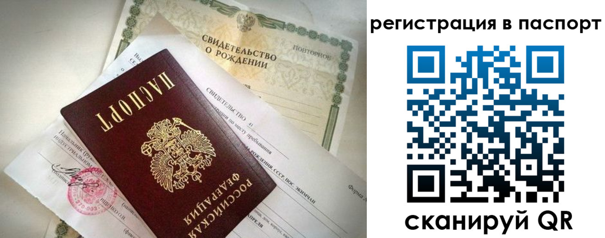 прописка гарантия в Московской области